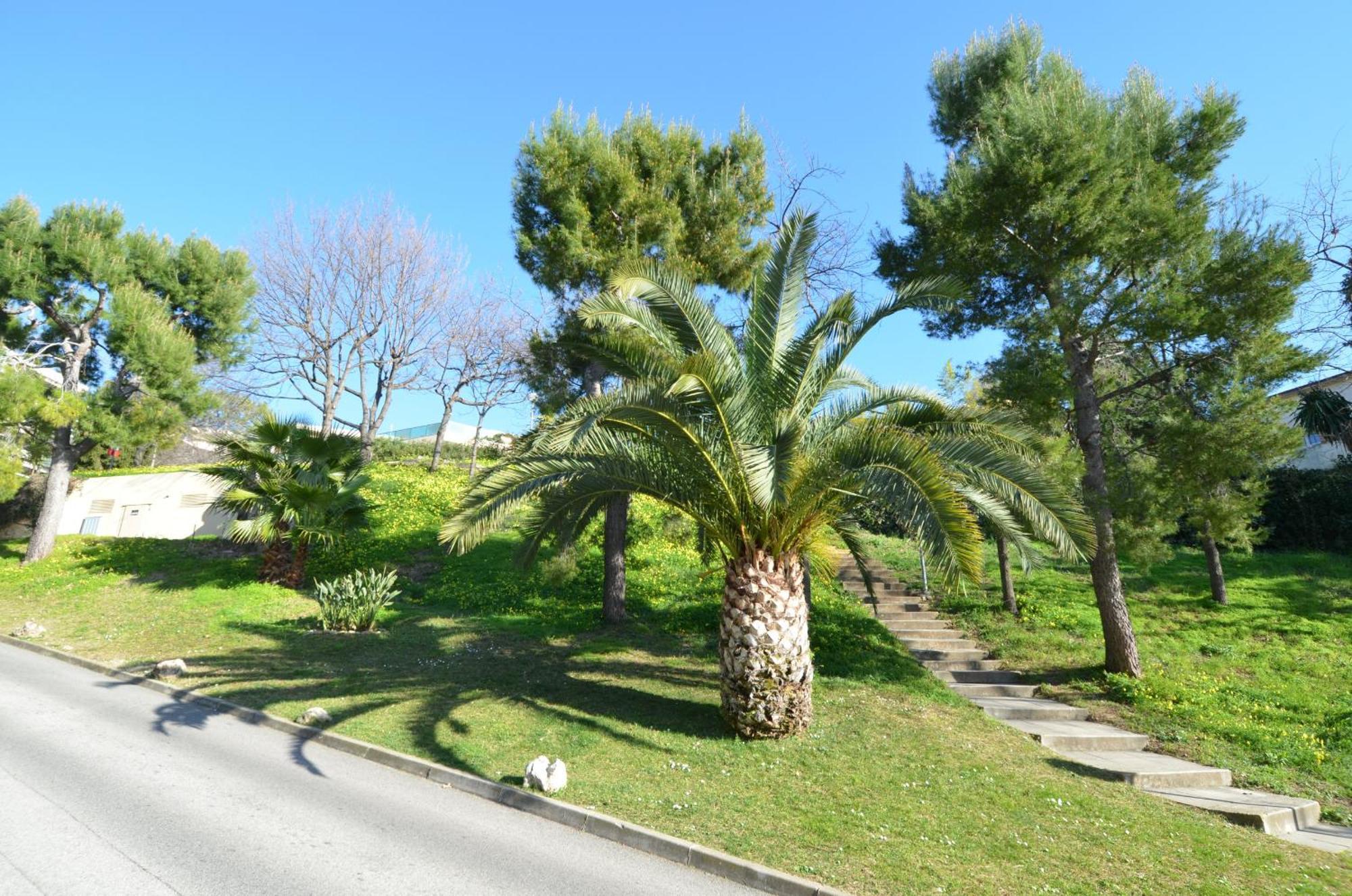 Plein Ciel - Appartement 5 Personnes Avec Piscine Sur La Corniche Fleurie A Niza Exterior foto